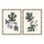 Fig I + II by Susan Hable For Sale