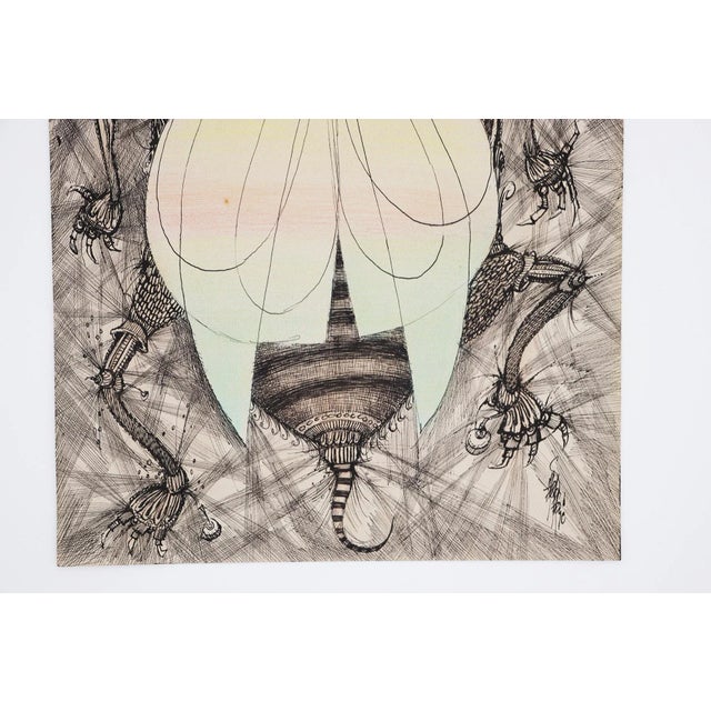 Illustration Art Drawing Depicting a Fly, Signed, French For Sale - Image 4 of 12
