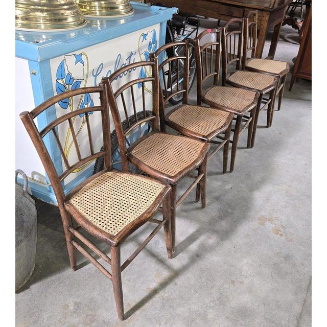 19th Century Napoleon Bentwood Chairs, Set of 6 For Sale - Image 8 of 9