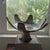Mid-Century Modern 19" Two-Tone Monkey Pod Wood Lotus Petal Pedestal Centerpiece For Sale - Image 16 of 17