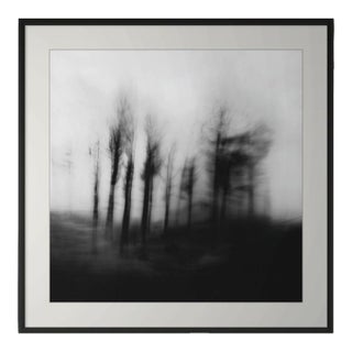 20" X 20" 'Blurred Landscape' #4 Black and White Photography For Sale
