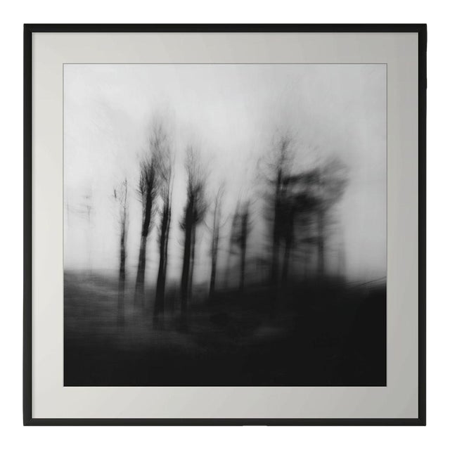 20" X 20" 'Blurred Landscape' #4 Black and White Photography For Sale