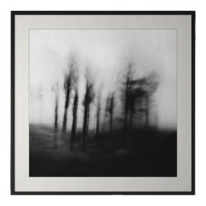 20" X 20" 'Blurred Landscape' #4 Black and White Photography