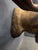 Brown Yukon Moose Shoulder Mount With Large Palmate Antlers For Sale - Image 8 of 12