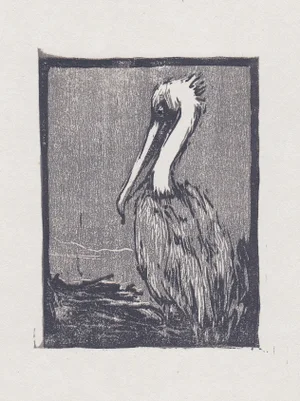 Limited Edition Pelican Woodblock Print by Michelle Farro
