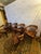 1930s Set of 6 Vintage B. L. Marble Co. Solid Wood Banker’s / Captain’s Chairs (C. 1930s–1940s) For Sale - Image 5 of 16