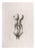 Giacomo Porzano, Nude, 1972, Etching For Sale