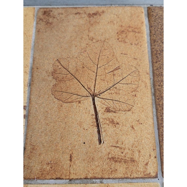 French Riviera Herbarium Coffee Table by Roger Capron, 1970 For Sale - Image 6 of 18