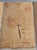 French Riviera Herbarium Coffee Table by Roger Capron, 1970 For Sale - Image 6 of 18