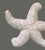 Vintage Nautical Coastal Décor Woven Wicker Wall Hanging Star Fish For Sale - Image 4 of 8