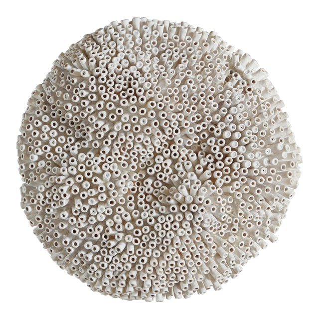 Round Form by Erin Vincent, 2024 For Sale