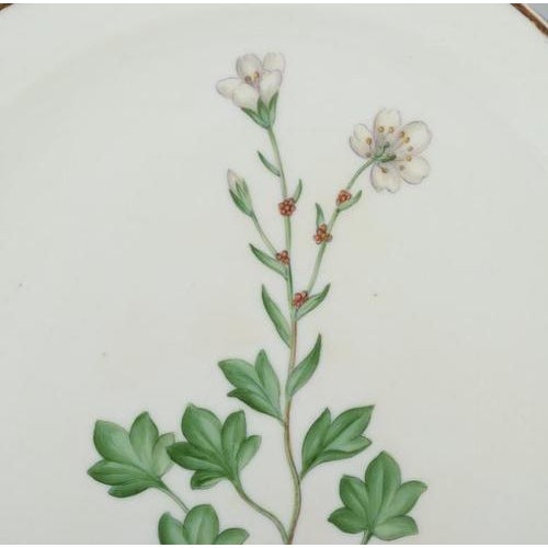 Flora Danica Openwork Lunch Plate in Porcelain from Royal Copenhagen, 1930s For Sale - Image 3 of 8
