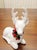 Vintage White Ceramic Deer Figurine, Christmas Around the World, Made in Taiwan For Sale - Image 4 of 10