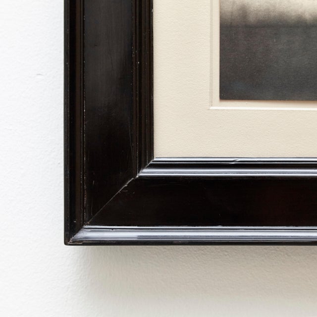 Black Mouth of Krishna 110 Print by Albarran & Cabrera, 2013 For Sale - Image 8 of 11