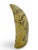 Mid 20th Century Save the Whale Polymer Faux Scrimshaw Reproduction Peacock Epervier Artek Tooth For Sale - Image 5 of 13