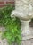 Stone Antique Marble Garden Urn For Sale - Image 7 of 9