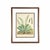 19th-Century European Fern Gallery | Set of 16 Framed Botanical Prints For Sale - Image 9 of 12