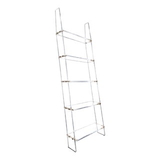 Acrylic Glass Ladder Shelf in the style of the Invisibles Du Marais For Sale