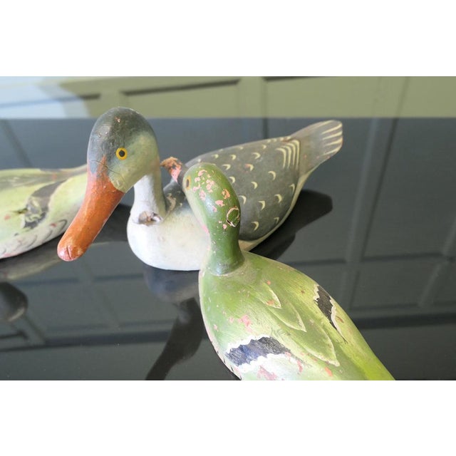 Painted and Carved Decoy Ducks, Set of 4 For Sale - Image 5 of 8