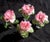 Vintage Murano Barovier Toso Pink Gold Flecks Italian Art Glass Leaf Bowl Vide-Poche With Mini Flower Pot Vase For Sale In Orlando - Image 6 of 7