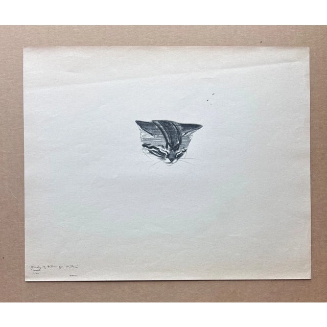 Up for sale is this vintage "Study of Kitten" from a 1943 collection by acclaimed illustrator Clare Turlay Newberry. It is...