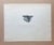 Up for sale is this vintage "Study of Kitten" from a 1943 collection by acclaimed illustrator Clare Turlay Newberry. It is...
