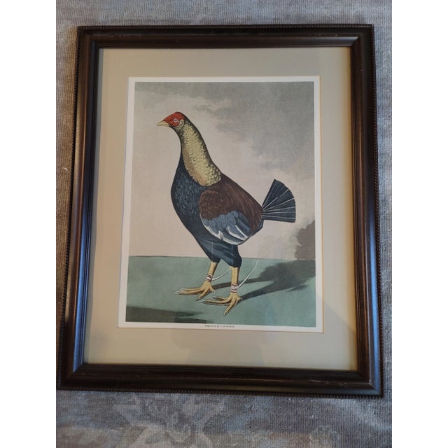 Victorian Rooster-Late 19th Century Cr Stock Lithograph - Cockerel Rooster - Set of 2 For Sale - Image 3 of 7