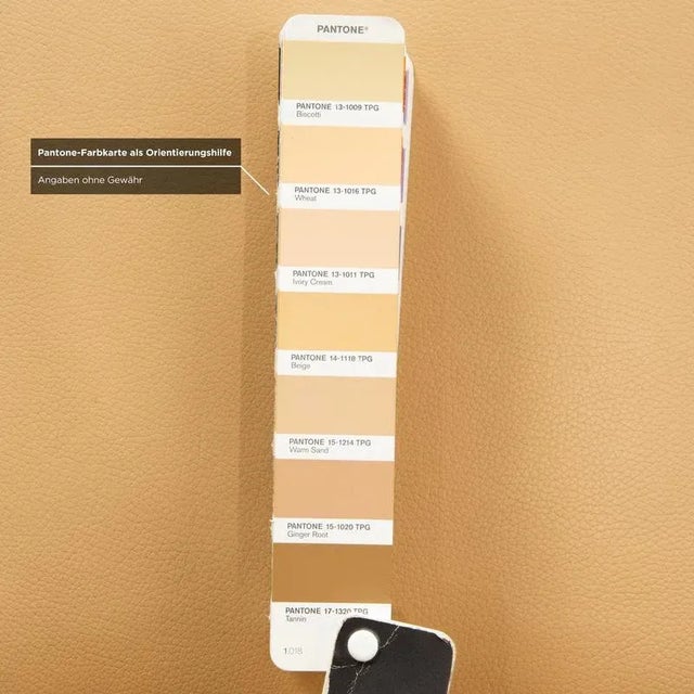 Beige Leather Dining Chairs from Bert Plantagie, Set of 4 For Sale - Image 5 of 11