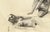 Realism Michael William Eggleston Two Nudes Realism Pencil and Gouache on Paper Circa 1980s For Sale - Image 3 of 8