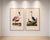 Great Heron & Roseate Spoonbill Diptych, Vintage Art Print Reproduction, 40" X 60" For Sale - Image 11 of 12
