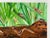 Original Ecotoxicology Illustration "Creepy Crawly Pop-Art" Circa 1981 Bugs Insects For Sale In Reno/Lake Tahoe - Image 6 of 9
