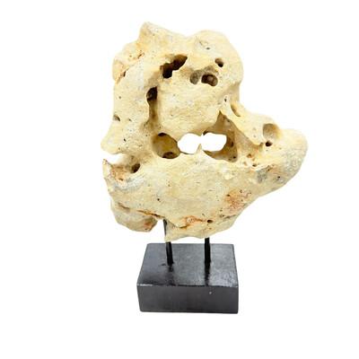 Tribal Indonesian Coral Stone On Teak Stand For Sale - Image 3 of 5