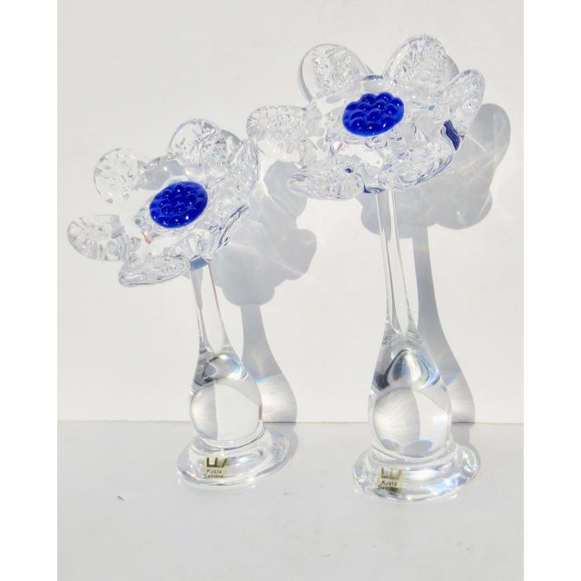 Rolf Sinnemark for Kosta glass handmade art glass flowers, signed to the bottom of each. Vintage 80s Swedish Kosta Boda...