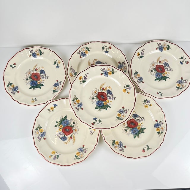 20th Century Agreste Dinner Plates from Sarreguemines, 1970s, Set of 6 For Sale - Image 13 of 13