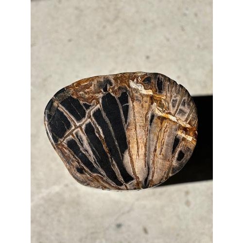 Side table, pedestal table or occasional furniture in multi-colored petrified wood. Petrified wood is a wood fossil (same...