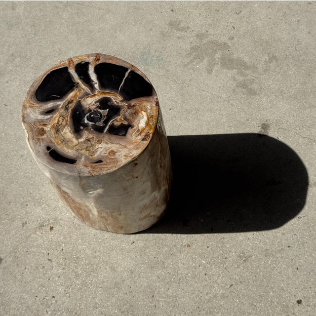 Petrified Wood Side Table For Sale - Image 18 of 18