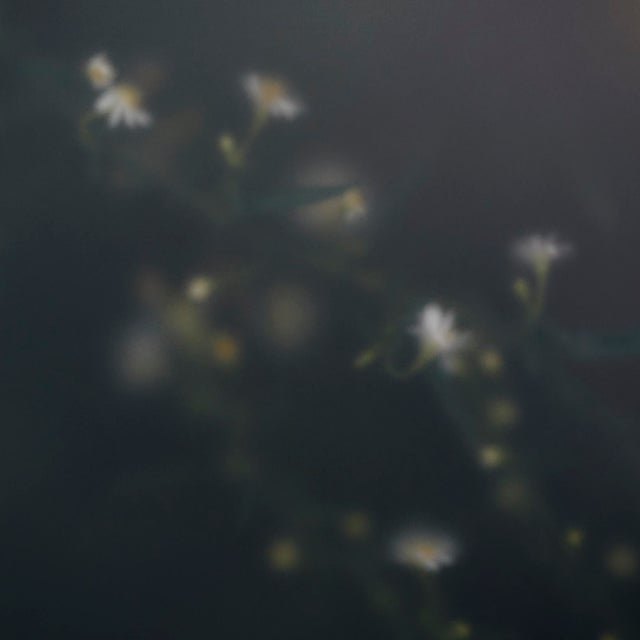 "Camelot" Photograph Print by Erin Derby For Sale