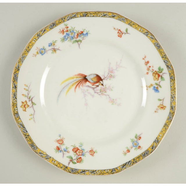 Vintage Mixed Bird Dinner Plates Set of 8 Chairish