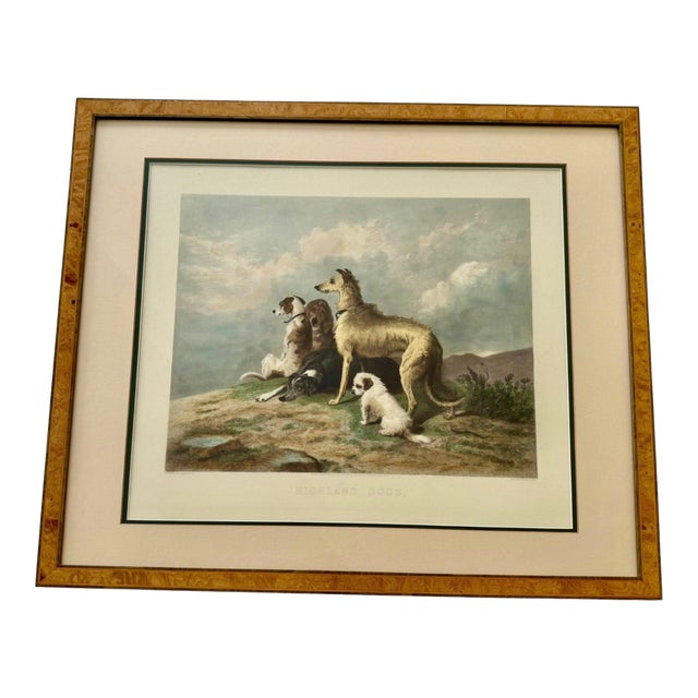 1880 Hand-Colored Engraving "Highland Dogs" After Sir Edwin Landseer in Custom Burlwood Frame For Sale