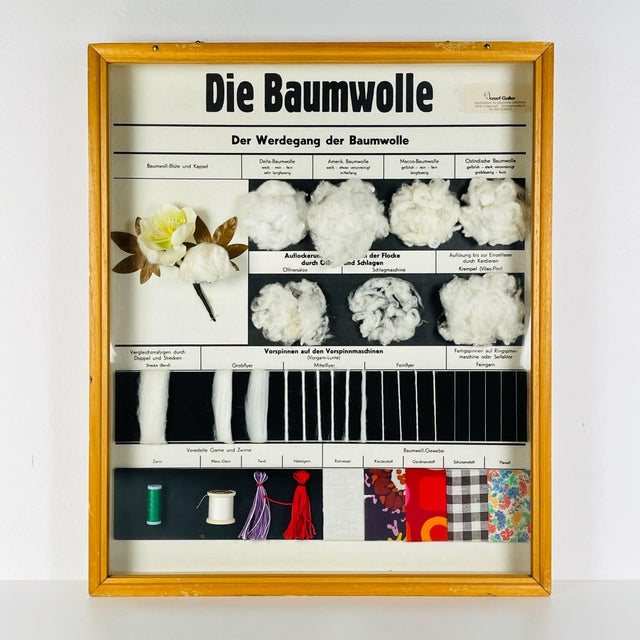 Vintage School Education Display Die Baumwolle (Cotton) by Josef Galler, Germany, 1960s For Sale - Image 14 of 14