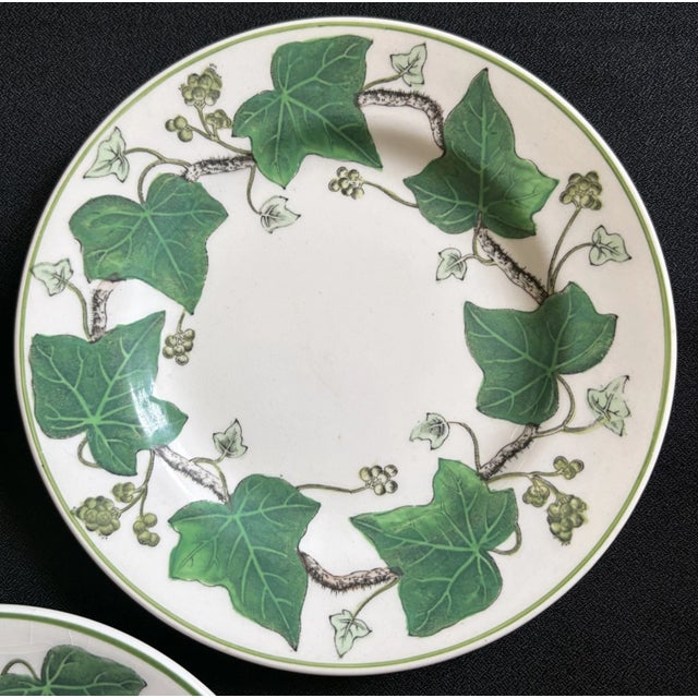 Ceramic 1940s Napoleon Ivy Wedgwood Plates - Set of 5 For Sale - Image 7 of 8