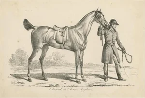 Horse Used for Hunting in England, 1890s, Paper