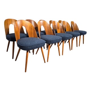 Dining Chairs by Antonin Suman, 1960s, Set of 10 For Sale