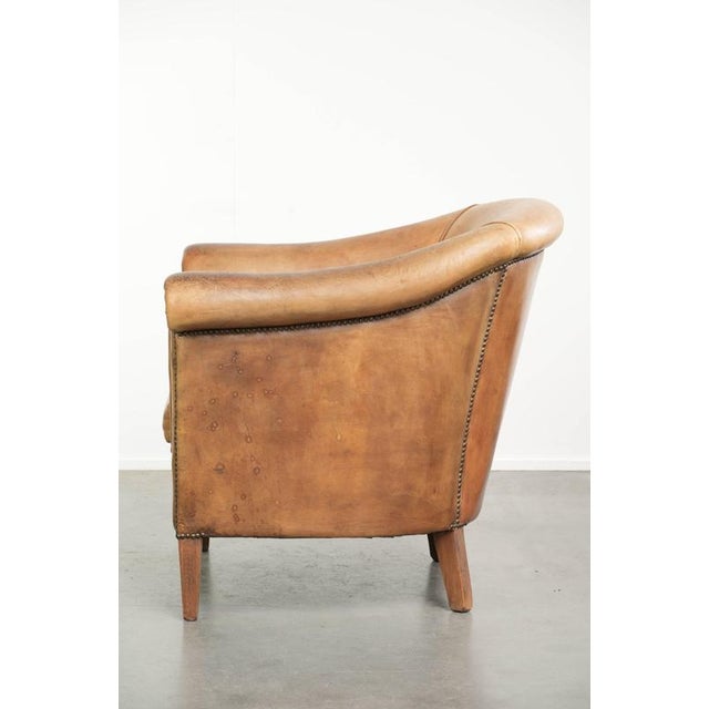 Sheepskin Club Armchair Light Cognac with Decorative Nails For Sale - Image 5 of 14