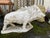 A substantial and highly decorative wild boar garden sculpture, realistically modelled in a dynamic walking or running...