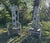 Driftwood Garden Armchairs, Set of 2 For Sale - Image 4 of 10