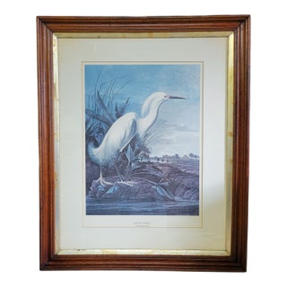Mid 20th Century After John James Audubon Vintage Print White Egret Antique Walnut Frame For Sale