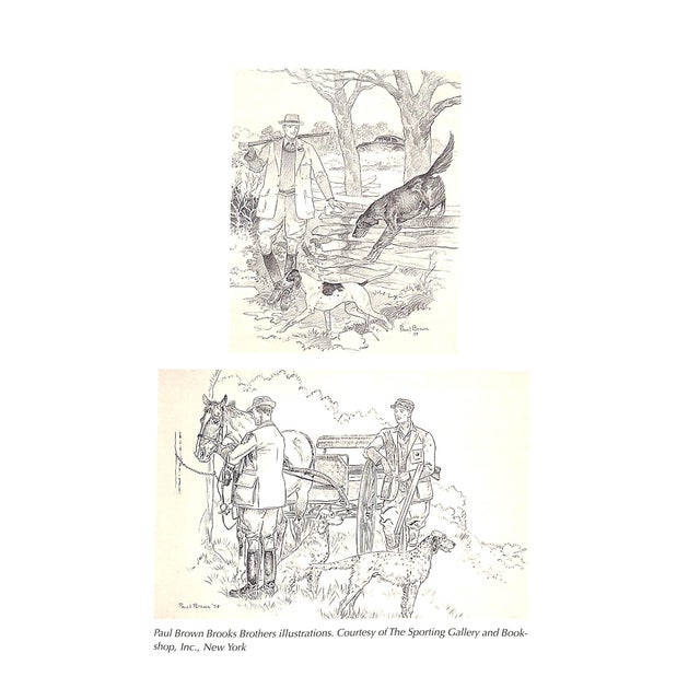 "Paul Brown: Master of Equine Art" 2001 Biscotti, M. L. For Sale - Image 13 of 14