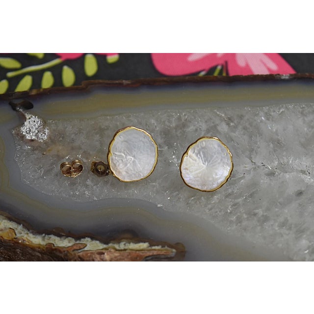 Modern 14k Gold Kabana Carved Mother of Pearl Sand Dollar Pierced Post Earrings, A Pair For Sale - Image 3 of 15