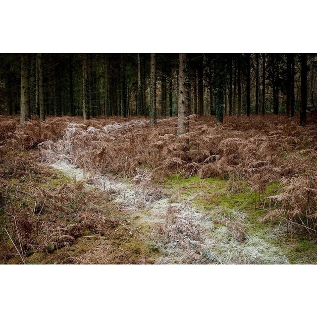 Knit One, Pearl One 4 is a Digital C-Type Print on Fuji Maxima Matte paper, available in this size from a Limited Edition...
